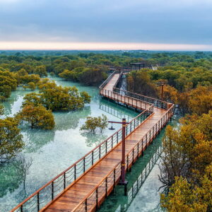 Boardwalk Experience