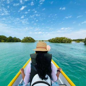 Electric Dragon Boat Experience