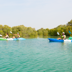 Double Kayaking Experience