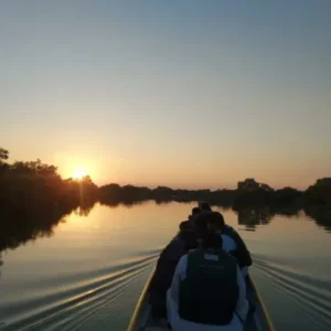 Sunset Electric Dragon Boat Experience