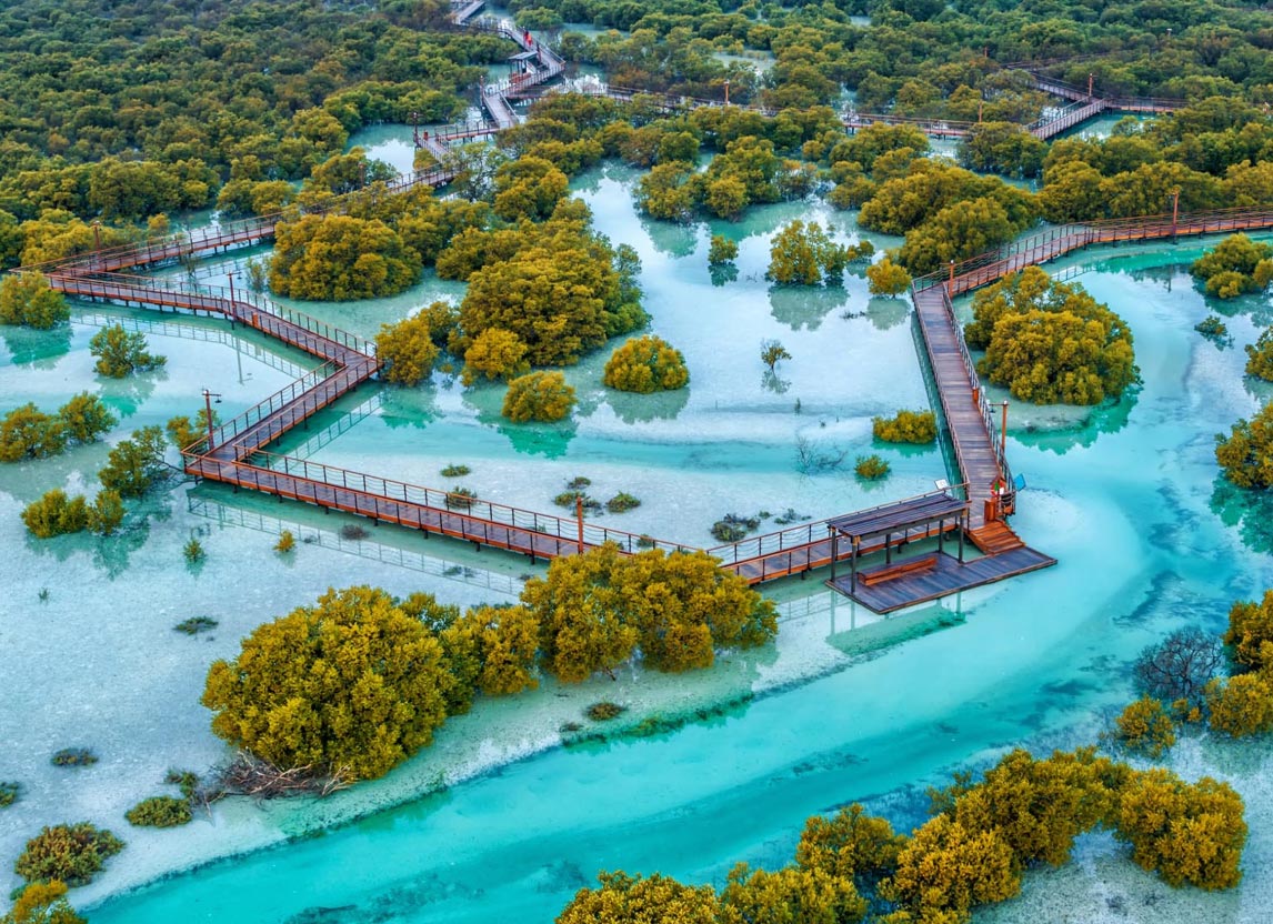 mangrove-innovation-center