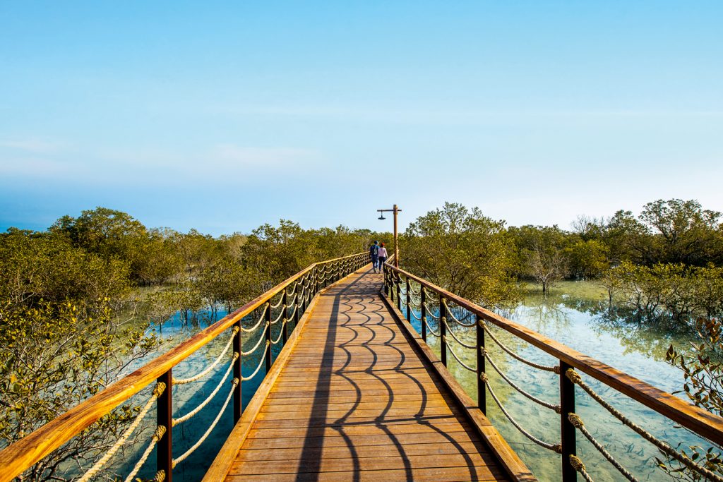 dve7ko61wrs6qy9lnpjl-6dium8