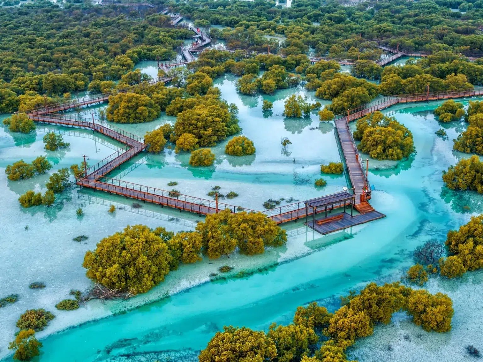 Jubail Mangrove Park